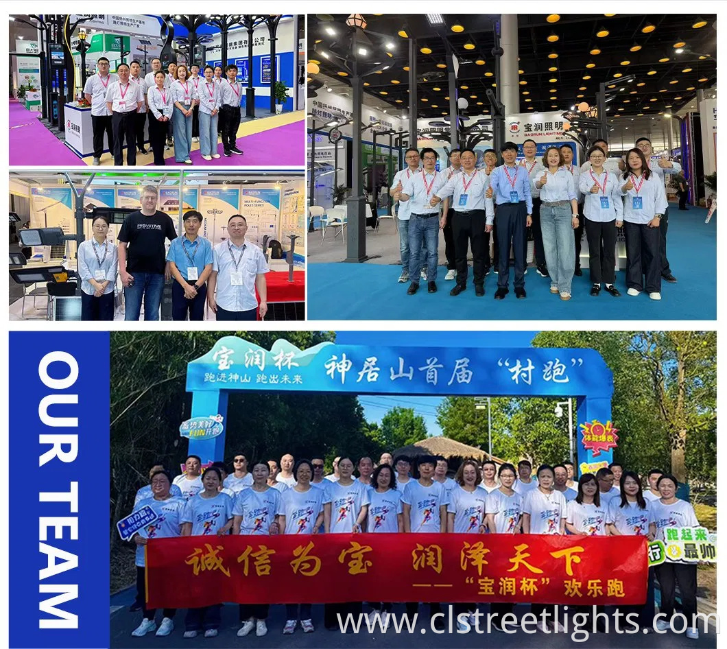 High-Efficiency LED Lamp Solar Panel LiFePO4 Lithium Battery Split Type Solar Street Light